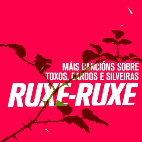 Éche O Que Hai cover art