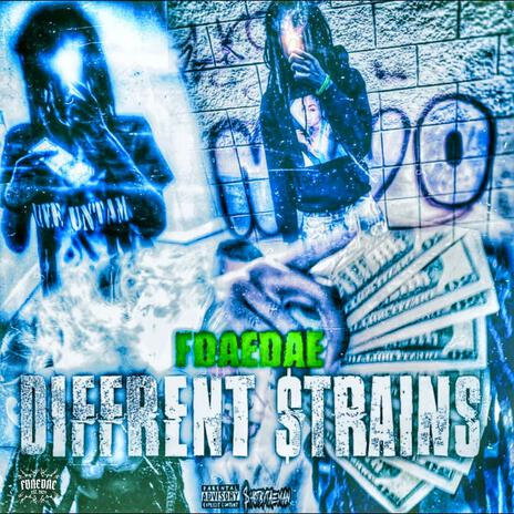 Pull Up Witta Stick cover art