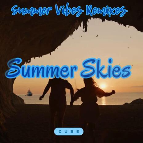Summer Skies (Radio Edit) cover art