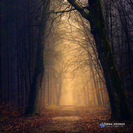 Bosque nocturno (Ciempiés) cover art