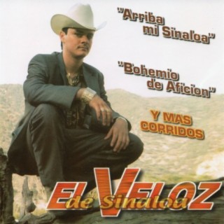 Arriba mi Sinaloa, Bohemio de Aficion, y Mas Corridos