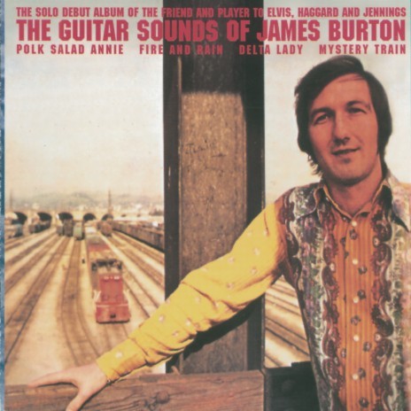 Polk Salad Annie cover art