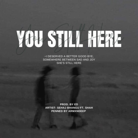 You still here ft. Sehaj bhangu, Shah & ED cover art