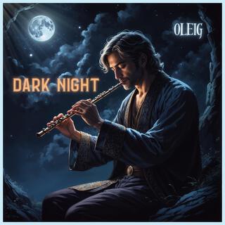 Dark Night cover art