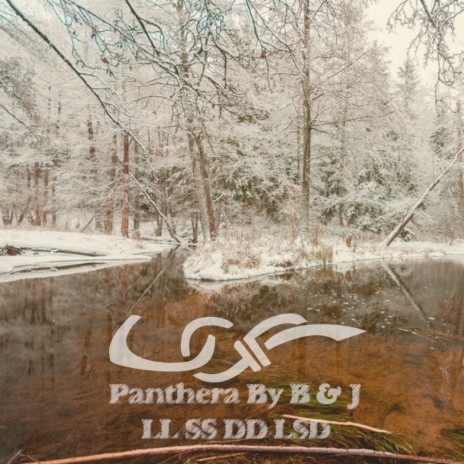 LL SS DD LSD cover art