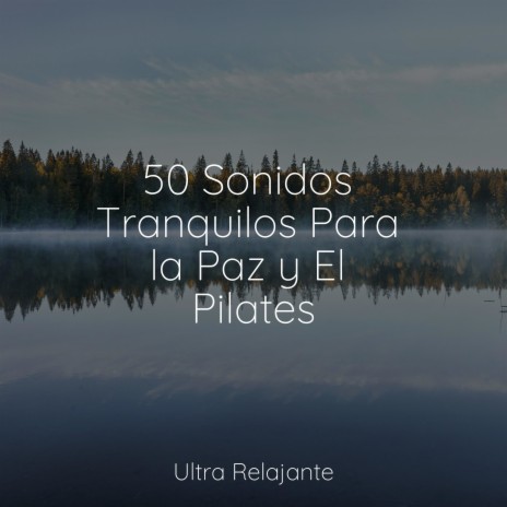 El Estrés Simplemente Se Derrite