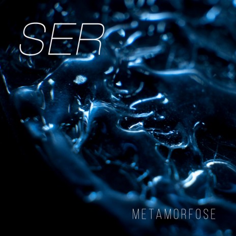 Fim cover art