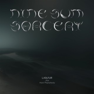 nine-sum sorcery B feat. Hani Mojtahedy cover art