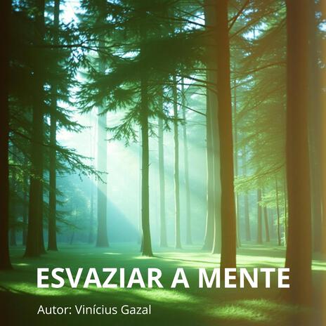 Esvaziar a Mente (Música para Relaxar) cover art