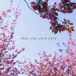 Wish You Were Here ft. bearbare