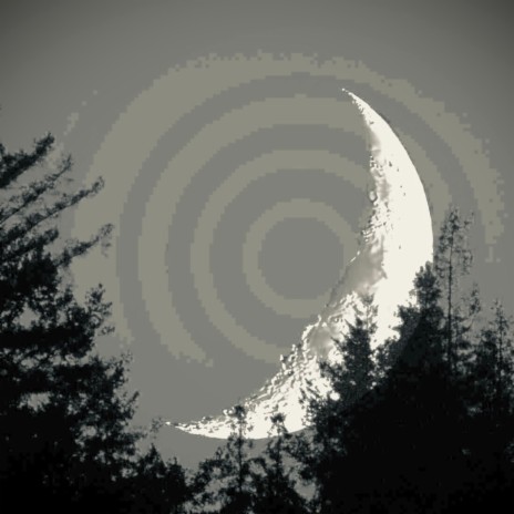CECOSYSTEM cover art