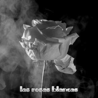 las rosas blancas cover art