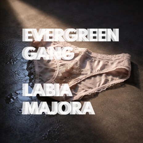 Labia Majora
