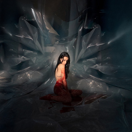 I suppose cover art