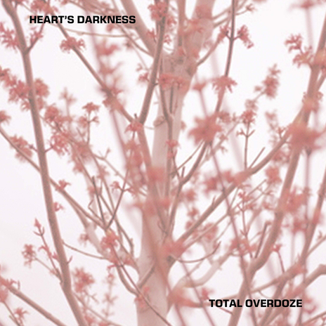 Heart's Darkness cover art