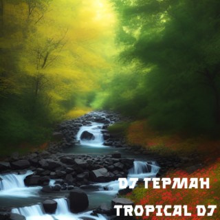 Tropical Dj