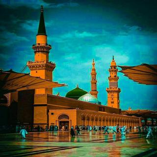 Hafiz Hasnain Ameeni