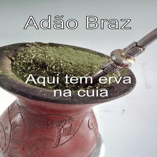 Aqui tem erva na cuia