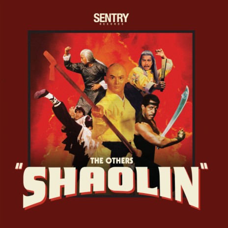 Shaolin (Original Mix) cover art