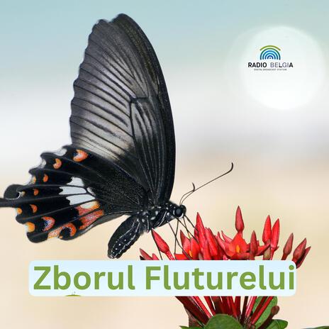 Zboruri fluturelui cover art