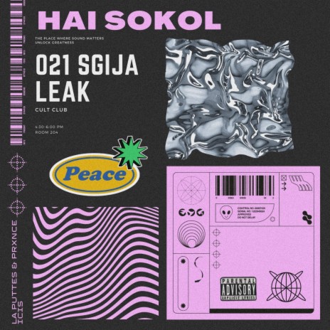HAI SOKOL (Lost file) ft. PRXNCE ICIS & La Puttes cover art