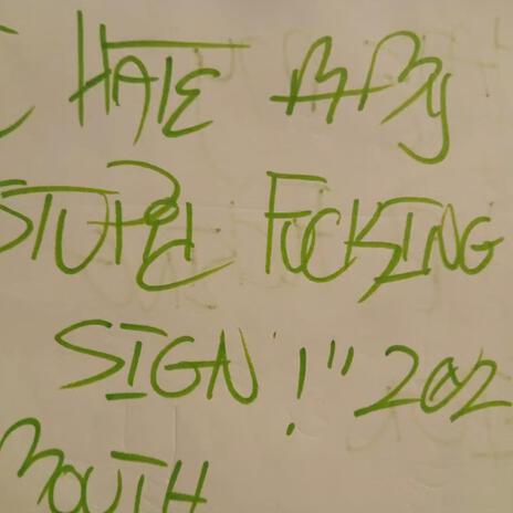 I Hate My Stupid Fucking SiGn cover art