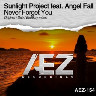 Never Forget You (Original Mix) ft. Angel Fall cover art