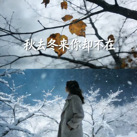秋去冬来你却不在
