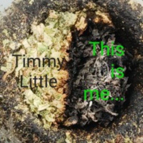 Tim Little From New Jersey (Raw Demo Version) cover art
