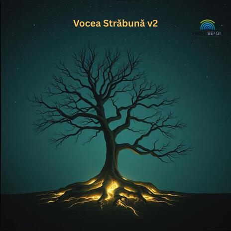Vocea Străbună v2 cover art