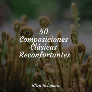 50 Composiciones Clásicas Reconfortantes