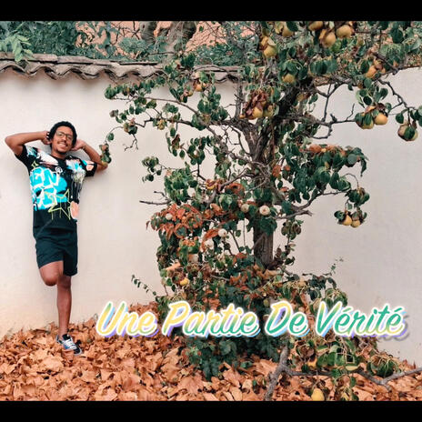 Une partie de vérité cover art