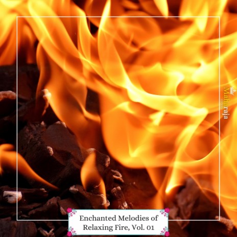 The Fire Wonders (Original Mix) cover art