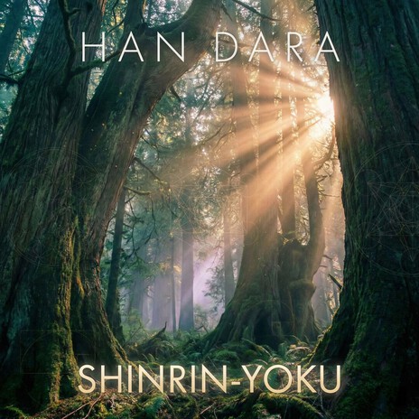 Root Systems cover art