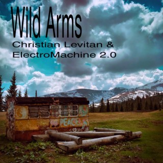 Wild Arms (Original Mix)