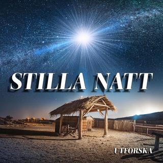 Stilla natt