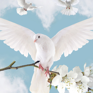 Freedom for the World cover art