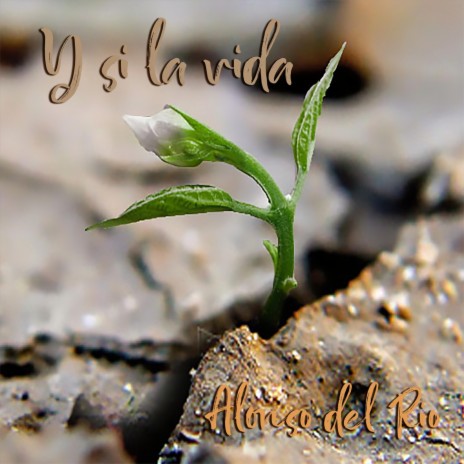 ¿sabes? cover art