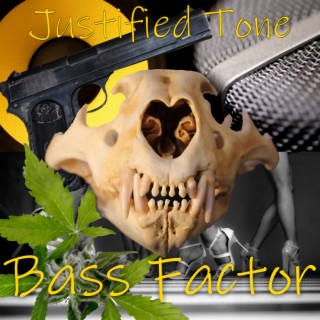Bass Factor