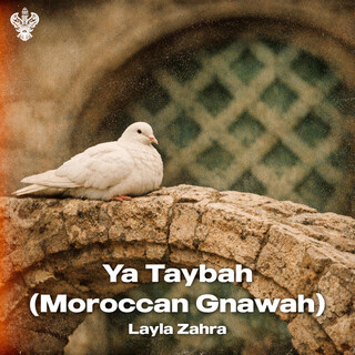 Ya Taybah (Moroccan Gnawah) cover art
