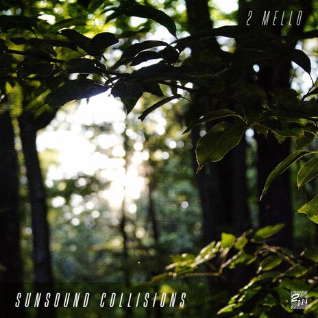 the forest of last words cover art
