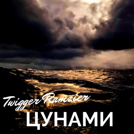 Цунами cover art