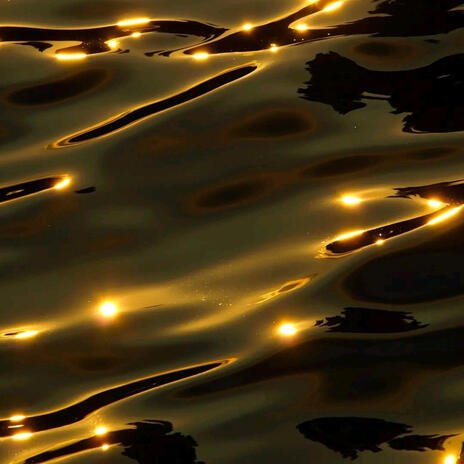 Golden Tides cover art