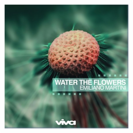 Water the Flowers cover art