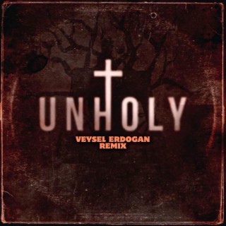 Unholy (Remix) cover art