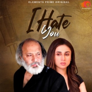 Bhulanay Walay (Original Soundtrack) cover art