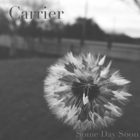 She cover art