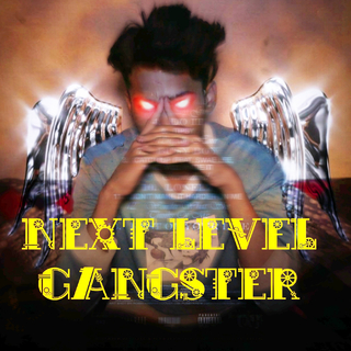 NEXT LEVEL GANGSTER cover art