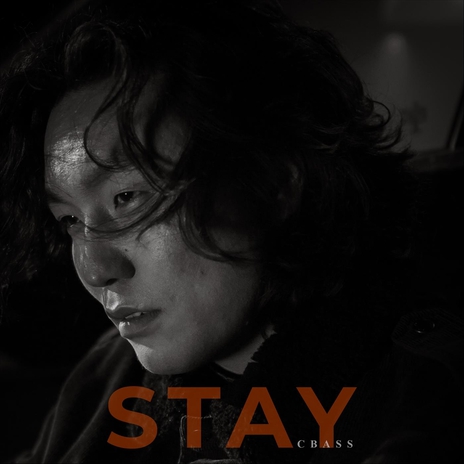 Stay cover art