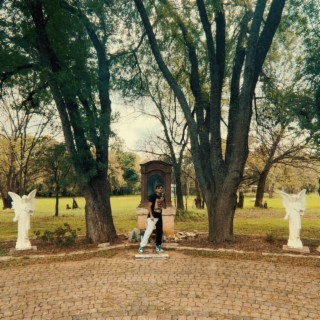 Words of wisdom cover art